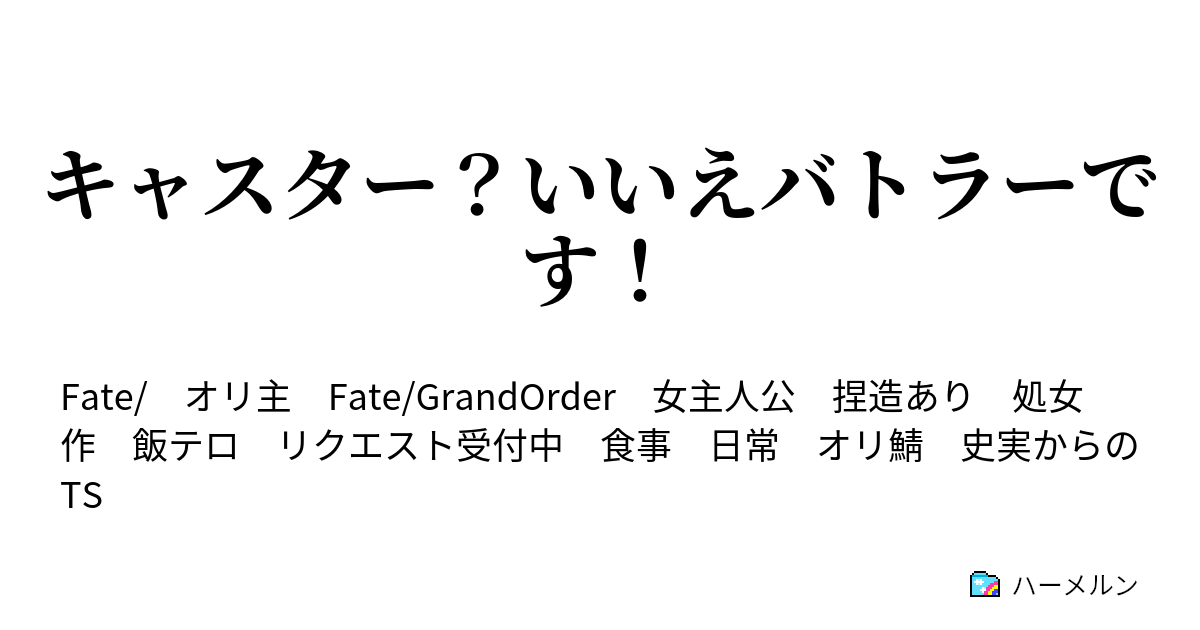 キャスター いいえバトラーです ハーメルン