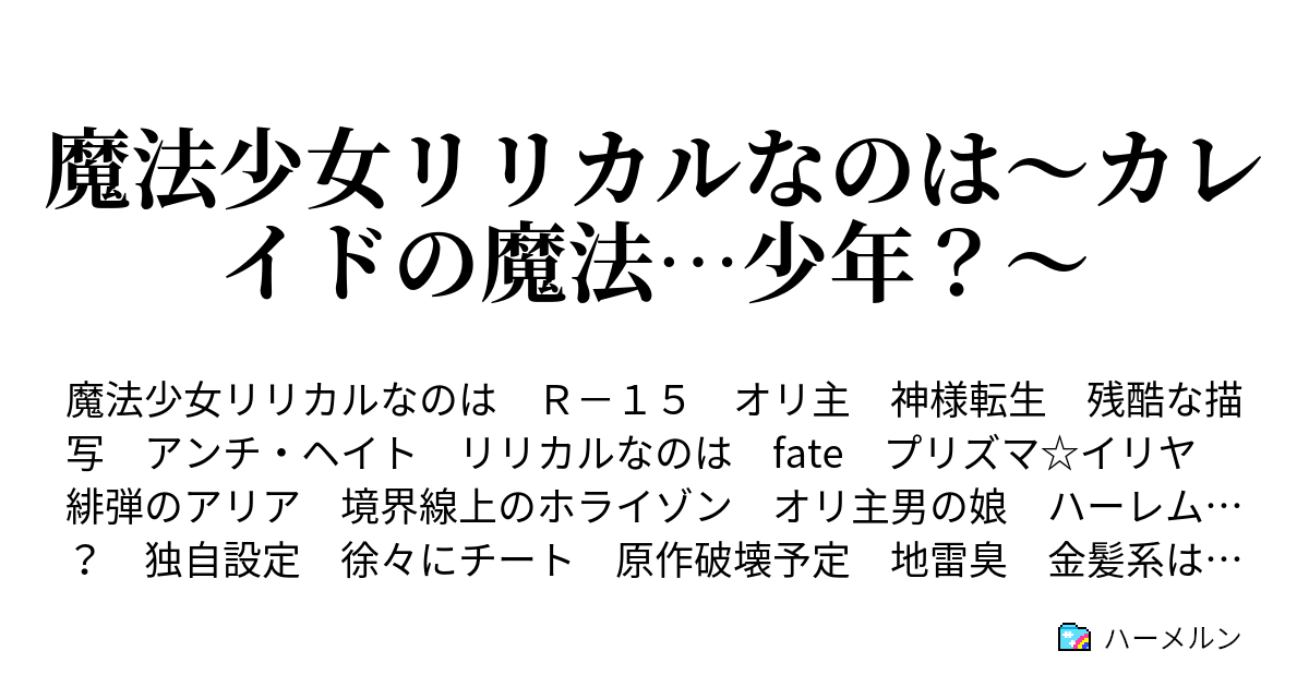 魔法少女リリカルなのは カレイドの魔法 少年 乱入者 ハーメルン