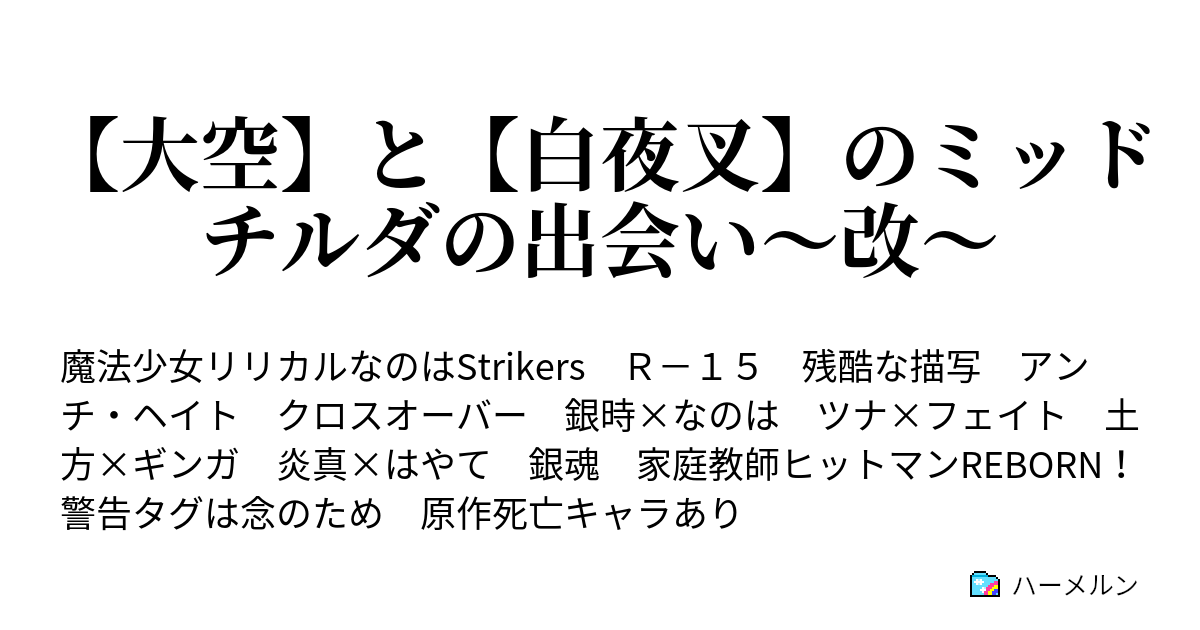 大空 と 白夜叉 のミッドチルダの出会い 改 ハーメルン