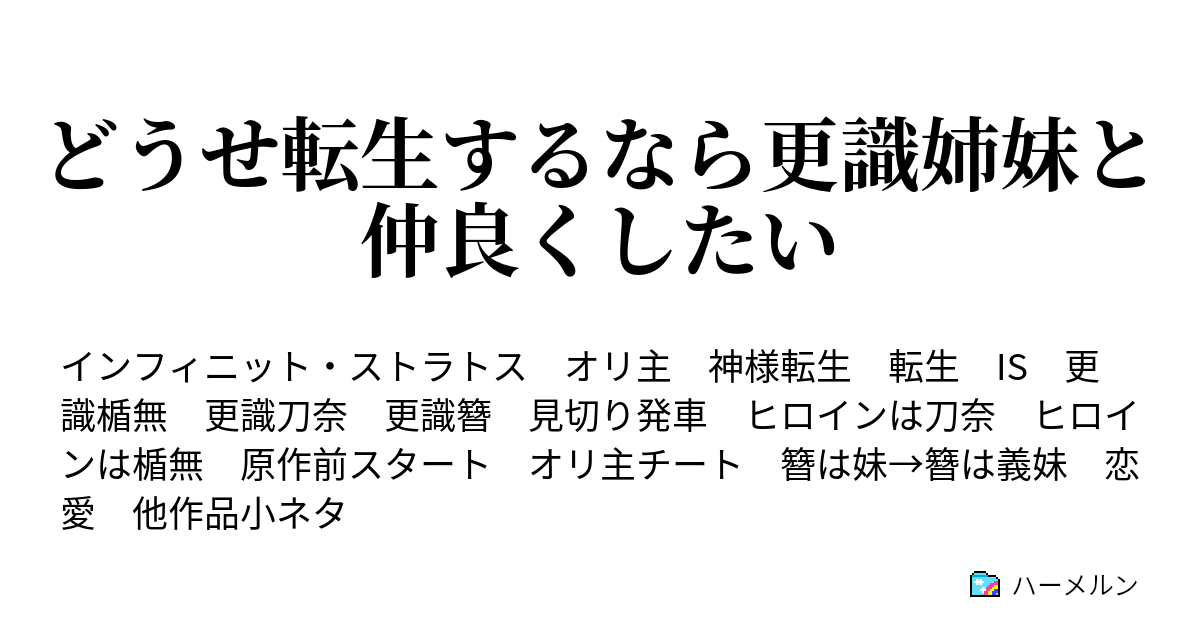 どうせ転生するなら更識姉妹と仲良くしたい ハーメルン