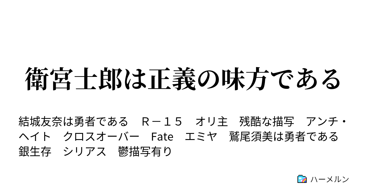 衛宮士郎は正義の味方である ハーメルン