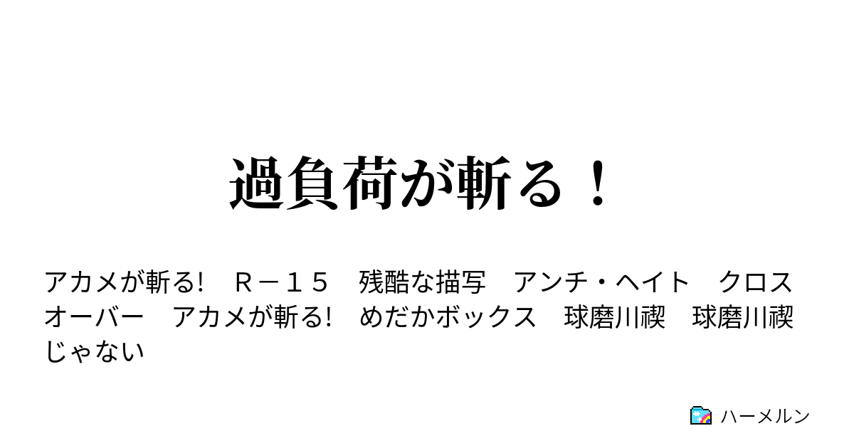 過負荷が斬る ハーメルン