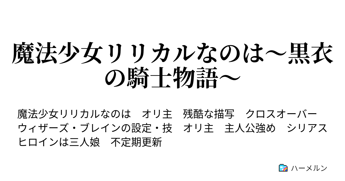 魔法少女リリカルなのは 黒衣の騎士物語 リニス ハーメルン