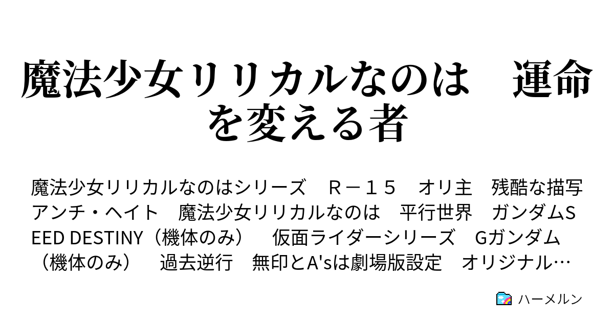 魔法少女リリカルなのは 運命を変える者 ハーメルン