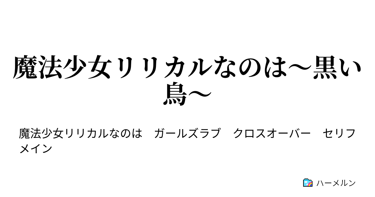 魔法少女リリカルなのは 黒い鳥 ハーメルン