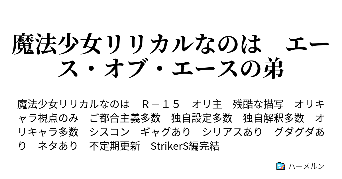 魔法少女リリカルなのは エース オブ エースの弟 ハーメルン