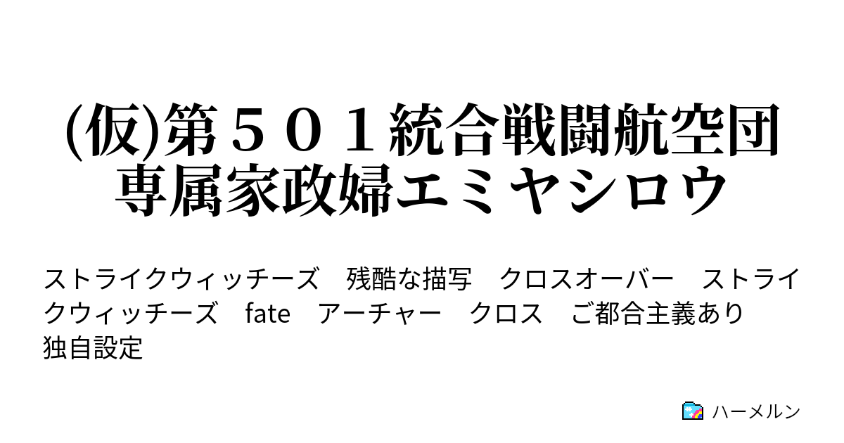 仮 第５０１統合戦闘航空団専属家政婦エミヤシロウ ゲルトルート バルクホルン ハーメルン