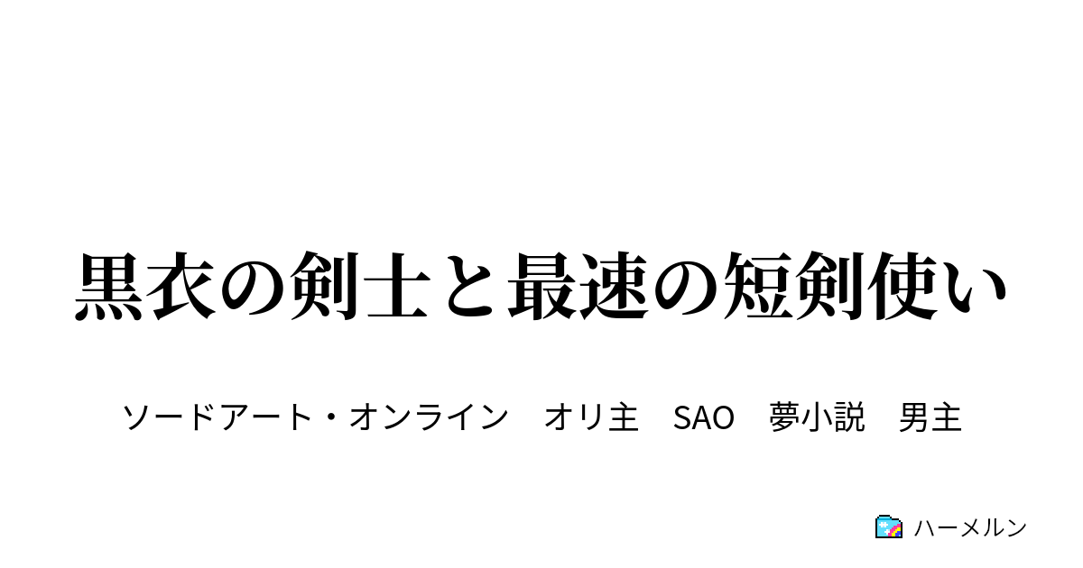 黒衣の剣士と最速の短剣使い ハーメルン