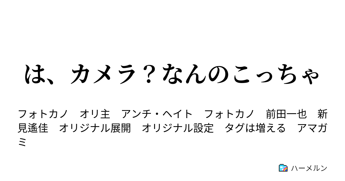 は カメラ なんのこっちゃ ハーメルン