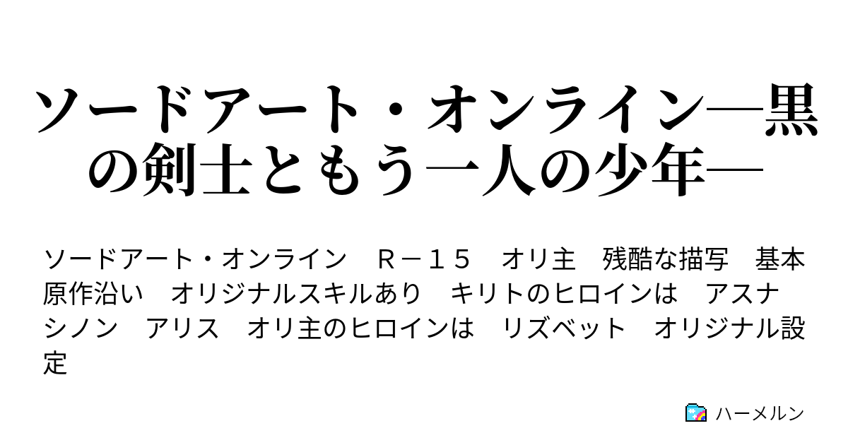 ソードアート オンライン 黒の剣士ともう一人の少年 ハーメルン