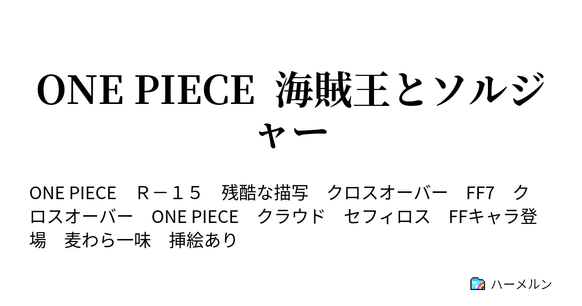 One Piece 海賊王とソルジャー ハーメルン