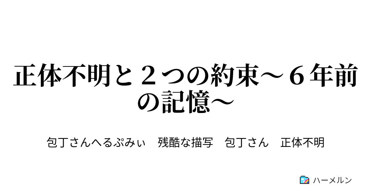 正体不明と２つの約束 ６年前の記憶 ハーメルン