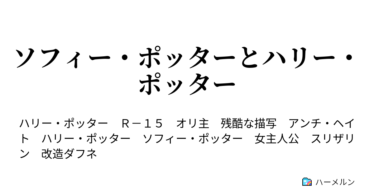 ソフィー ポッターとハリー ポッター ホグワーツ特急と組分け ハーメルン