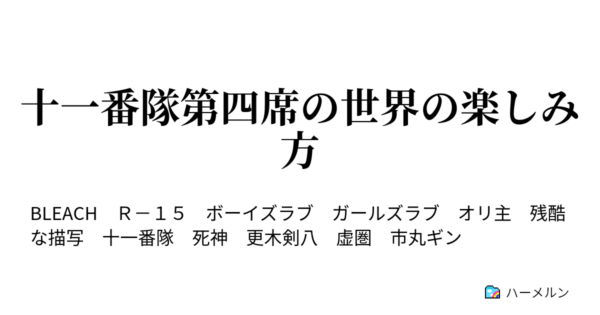 十一番隊第四席の世界の楽しみ方 ハーメルン